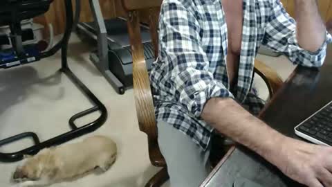 billy471 online show from November 22, 7:35 pm