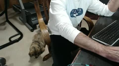 billy471 online show from March 15, 9:10 pm