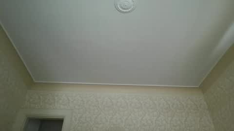 bluemoose70 online show from February 25, 5:04 pm