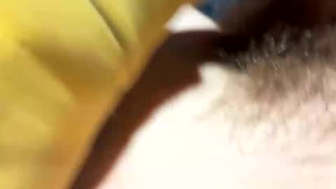 bobdillon401 online show from February 15, 7:00 pm