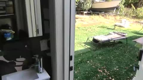 bonerboy100 online show from March 5, 8:23 pm