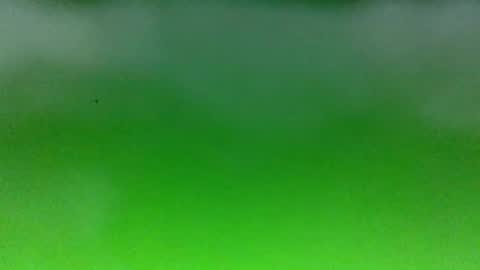 bonershow online show from March 29, 9:37 pm