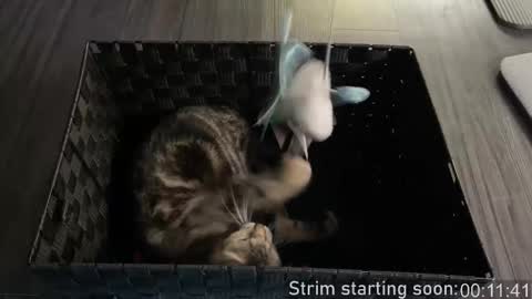 Booker Baxton online show from January 7, 3:55 am