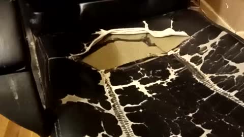 BB online show from December 14, 1:34 am