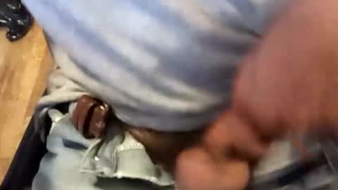 BB online show from April 1, 3:42 pm