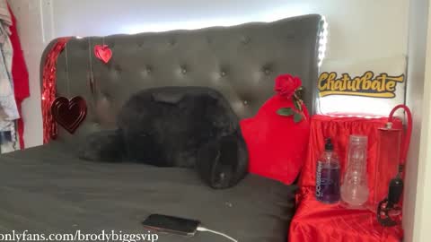 Brody Biggs online show from February 8, 6:45 pm