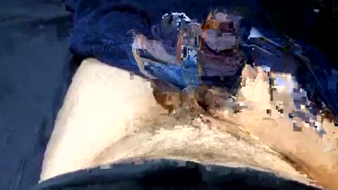 bruce_best online show from December 24, 5:49 am