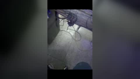 bruno_booss online show from March 15, 7:53 pm