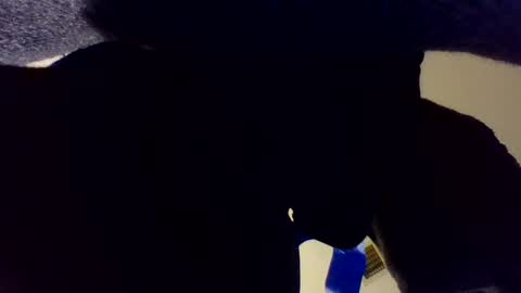 buckoykang online show from October 11, 4:05 am