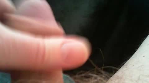 bullemoe online show from February 27, 7:42 am