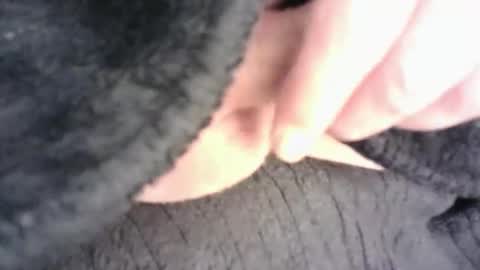 Hamish online show from September 20, 5:57 pm