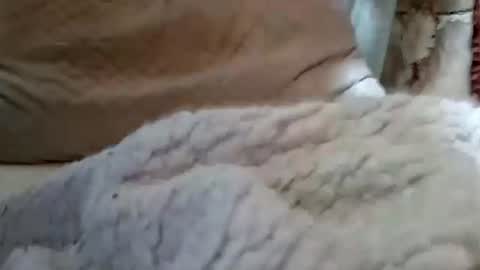 Buster18Hymen online show from February 1, 10:08 pm