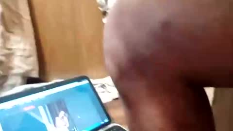 Southerncock online show from September 21, 10:48 am