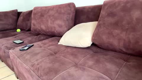 My name is Robert  Dont be shysay hi I love to chat. For requests or dirty talk please use tips  online show from February 20, 6:21 pm