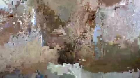 cameracomcamera online show from November 3, 5:15 pm