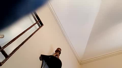 camerontaylorcub online show from December 3, 5:12 pm