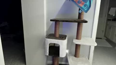 cammyman6900 online show from March 21, 4:16 am