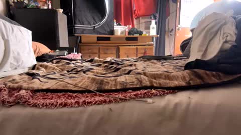 Bbc always ready balls insta bmac capone online show from November 28, 8:11 pm