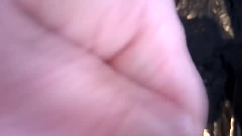 captainzoomvoom online show from March 24, 9:47 am