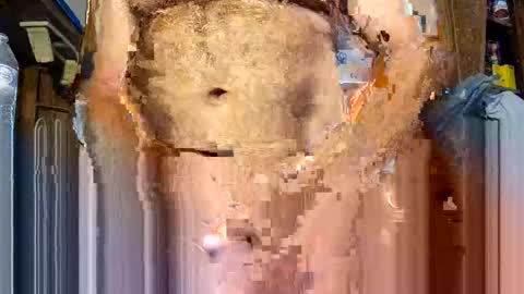 carnyboi60 online show from February 6, 12:16 pm