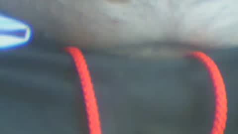 Snapshot of castells chatting on September 17, 3:35 pm castells online show from September 17, 3:35 pm