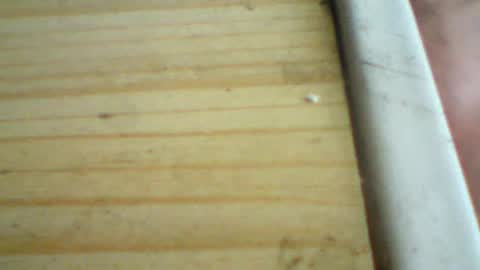 castells online show from July 27, 3:52 pm
