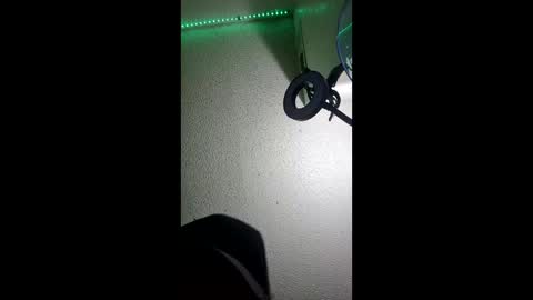 char sexiness online show from December 5, 9:27 am