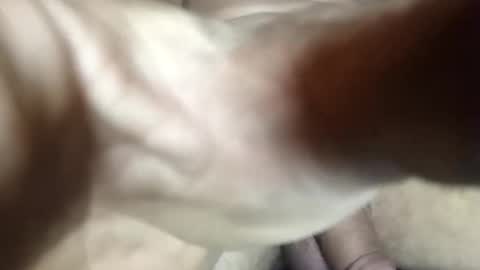 Boogog online show from January 14, 10:53 am