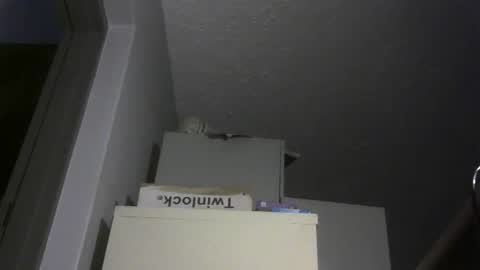 chaturbatordeluxe online show from February 10, 3:33 am