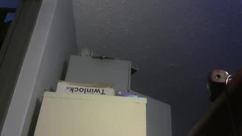 chaturbatordeluxe online show from February 7, 3:57 am