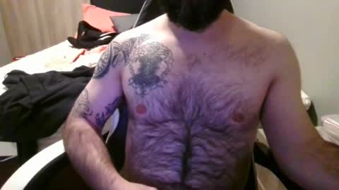 chub bear 99 online show from July 11, 11:40 pm