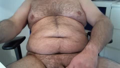 Chubby Bear BY online show from January 19, 9:33 am