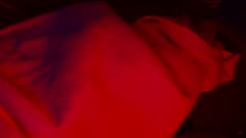 ClassayCalCock online show from May 24, 12:44 pm
