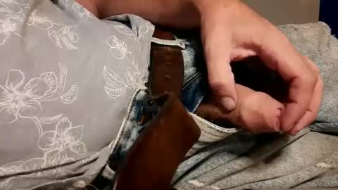 Cock  Bum at leisure for YOUR naughty pleasure online show from January 7, 6:35 pm