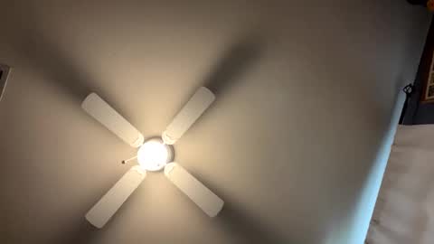 cockdixon online show from November 4, 7:04 pm