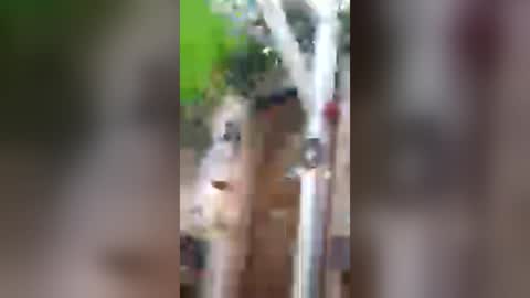 cokinnous31 online show from July 9, 4:44 pm