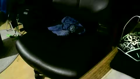 coyote017 online show from November 17, 9:29 pm