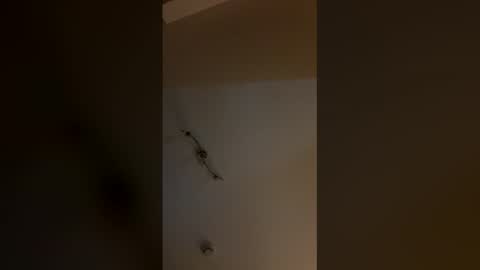 cp1a online show from March 23, 11:54 pm