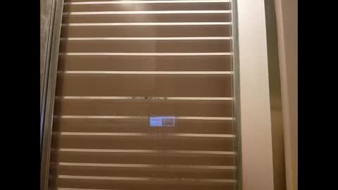 csunny37 online show from February 5, 11:06 am