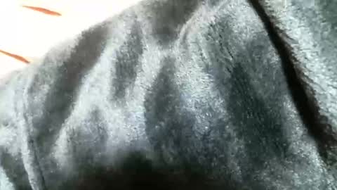 Snapshot of cutandwaxed2 chatting on March 5, 11:27 pm BI SMOOTH MATURE  SUB online show from March 5, 11:27 pm