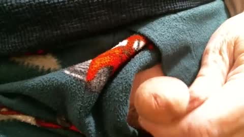 Snapshot of cutandwaxed2 chatting on January 29, 2:10 pm BI SMOOTH MATURE  SUB online show from January 29, 2:10 pm