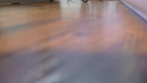 daddysmalls online show from October 25, 2:52 pm