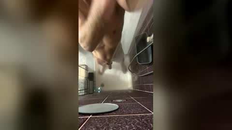 damonrosco online show from February 7, 8:14 pm