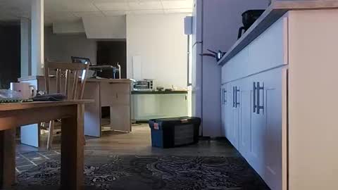 danimal5000 online show from November 16, 3:25 pm