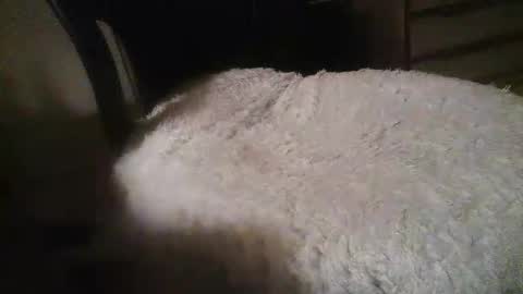 Snapshot of dannyb618 chatting on October 31, 10:07 am Danielle online show from October 31, 10:07 am