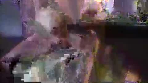 Snapshot of dannyb618 chatting on February 8, 12:06 am Danielle online show from February 8, 12:06 am