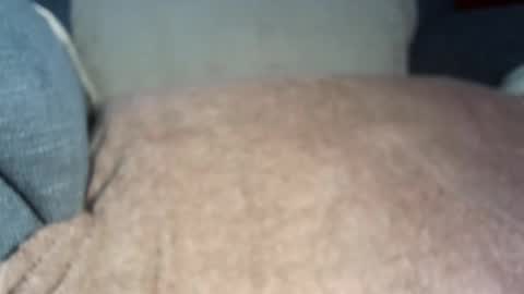 dapppper online show from February 3, 11:53 am