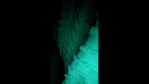 darwin50ramos online show from March 23, 6:41 am