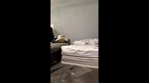 Dazzill online show from April 15, 8:42 pm