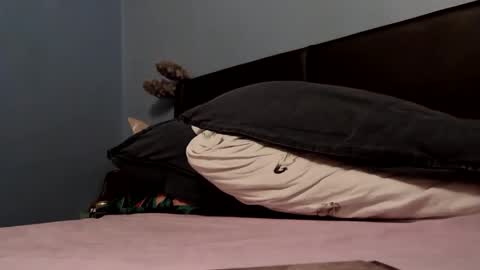 dbpalmer online show from February 17, 6:51 pm